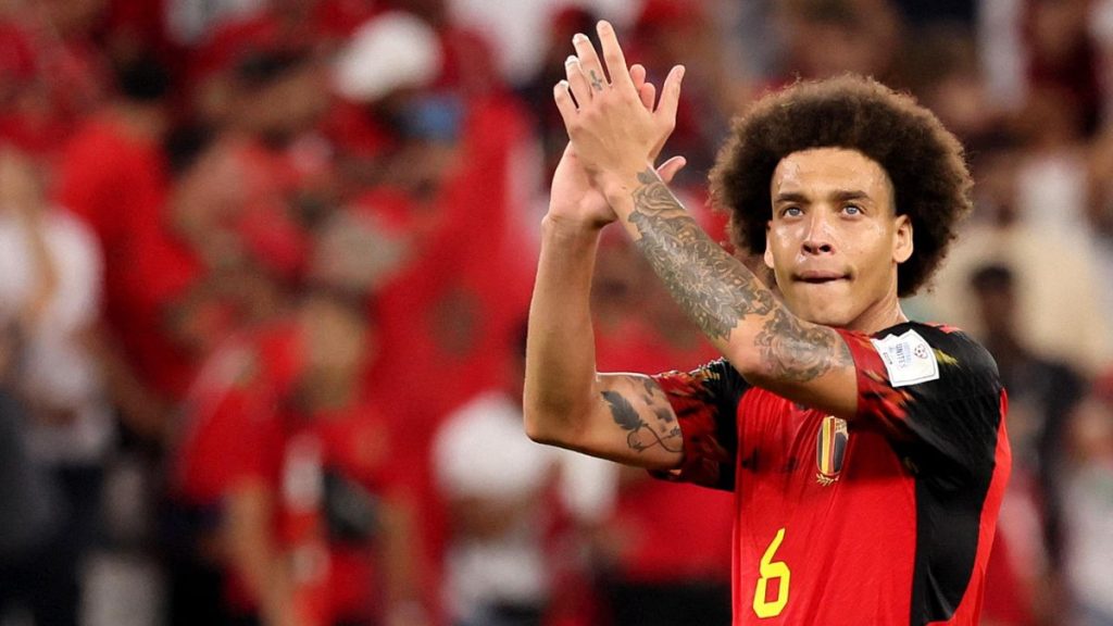 Axel Witsel Information
